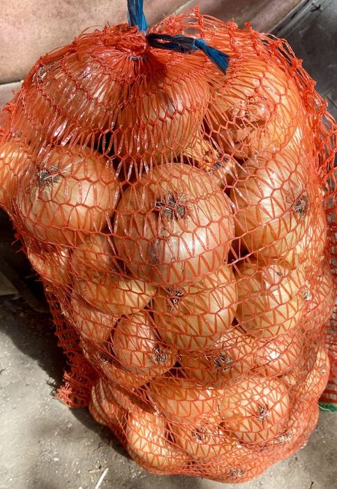 Vând ceapă plată (producator local)