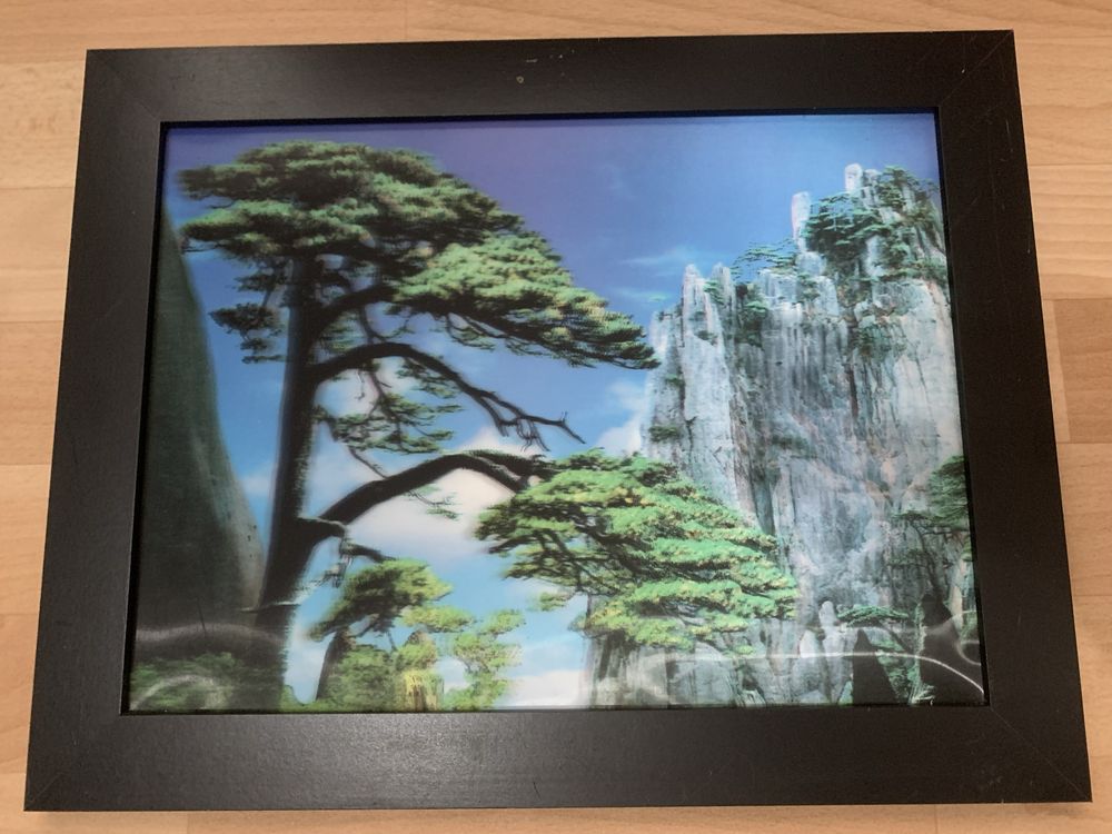 3D картини 46.6х37.7см