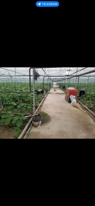 Продается участок под бизнес 55 соток