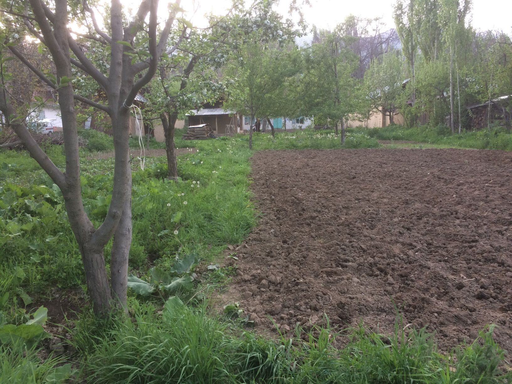 Uchka sotiladi 13.4 sotik srochna