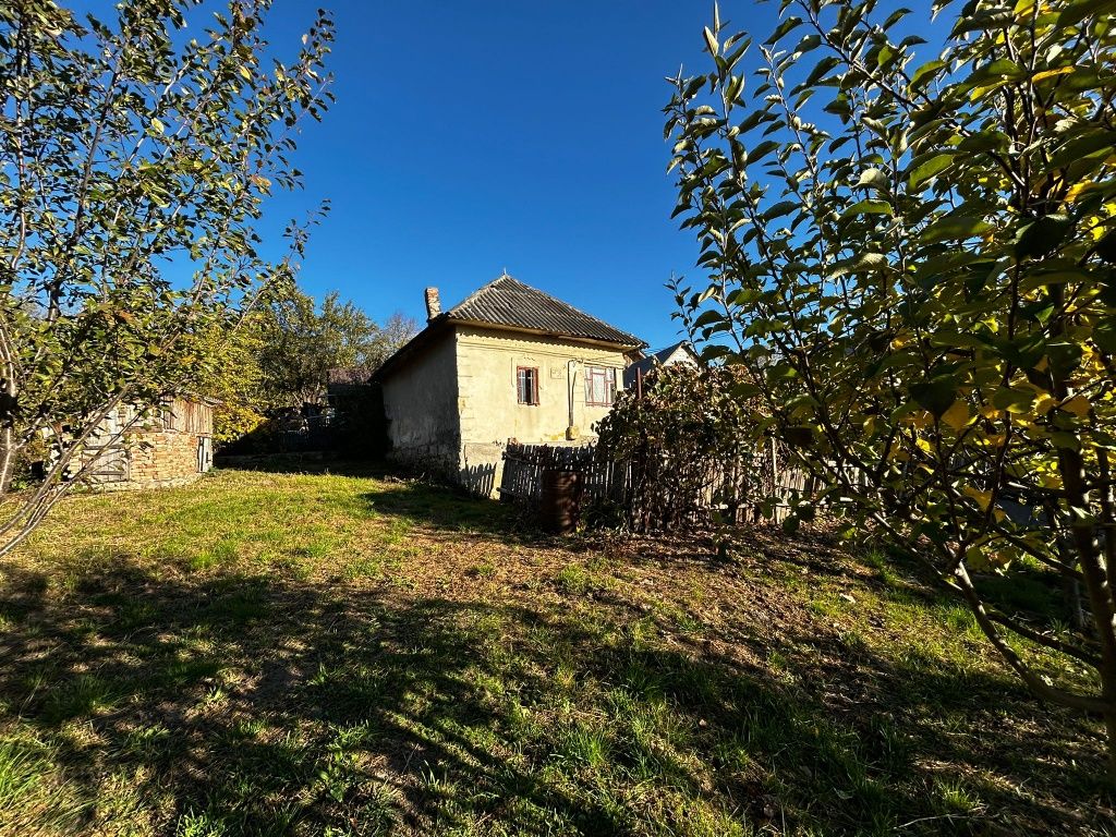 Vând casă+teren 5000 mp