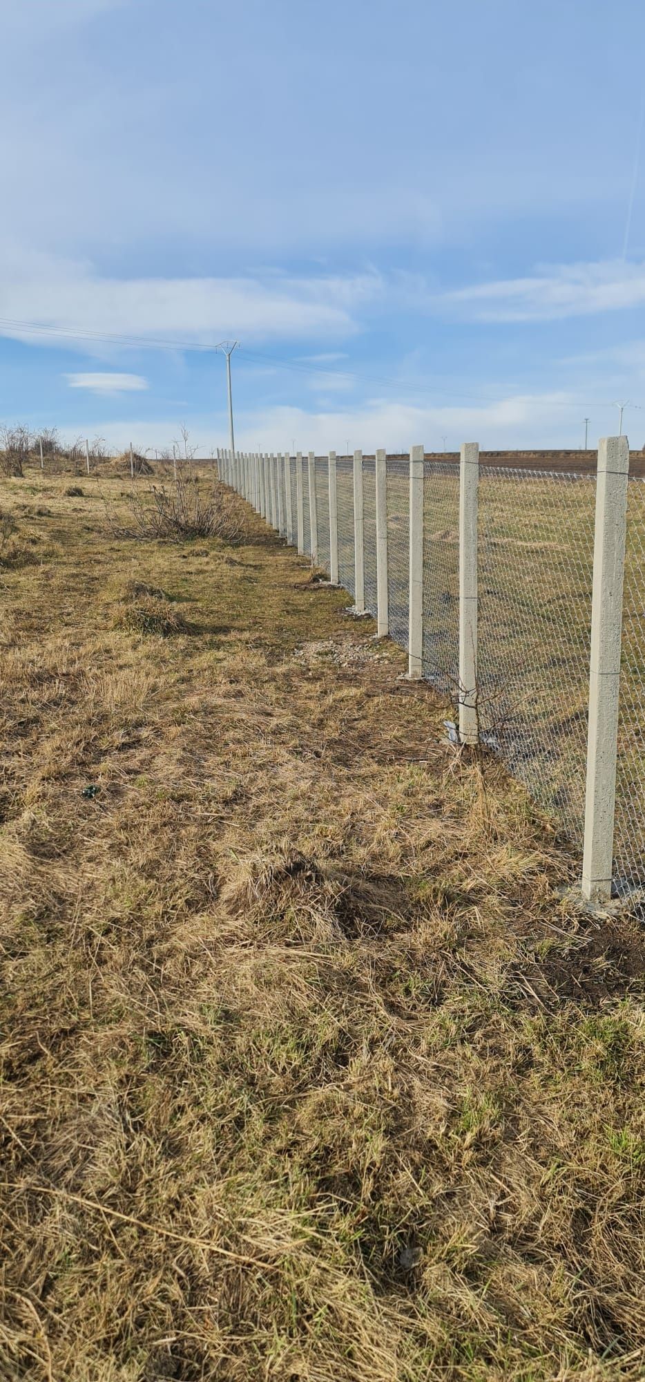 Forez gropi pentru gard, stalpi, pomi si alte plante
preturi incepand