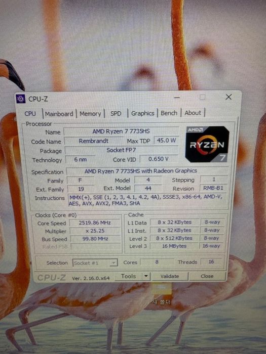 MSI Bravo 17 D7V gaming laptop