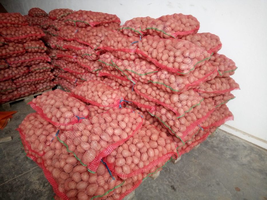 Ceapă plată  și cartofi