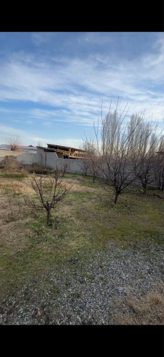 Янги узбекистон боғи Болта махалласида йер сотаман 5 сотихли уй янги м