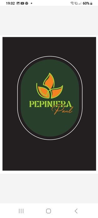 Producator vând pomi fructiferi