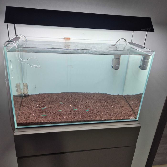 Setup complet acvariu Ada 60p aquascaping
