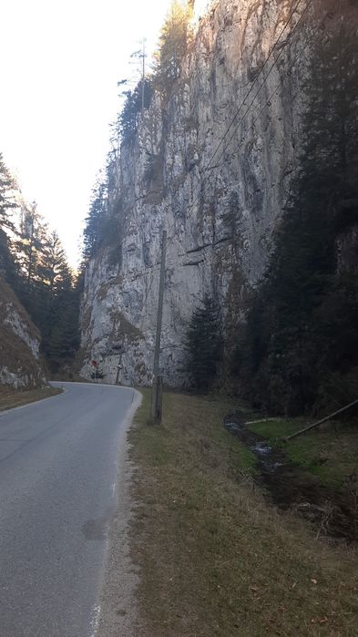 Teren la munte superb Ciocanu Dambovicioara