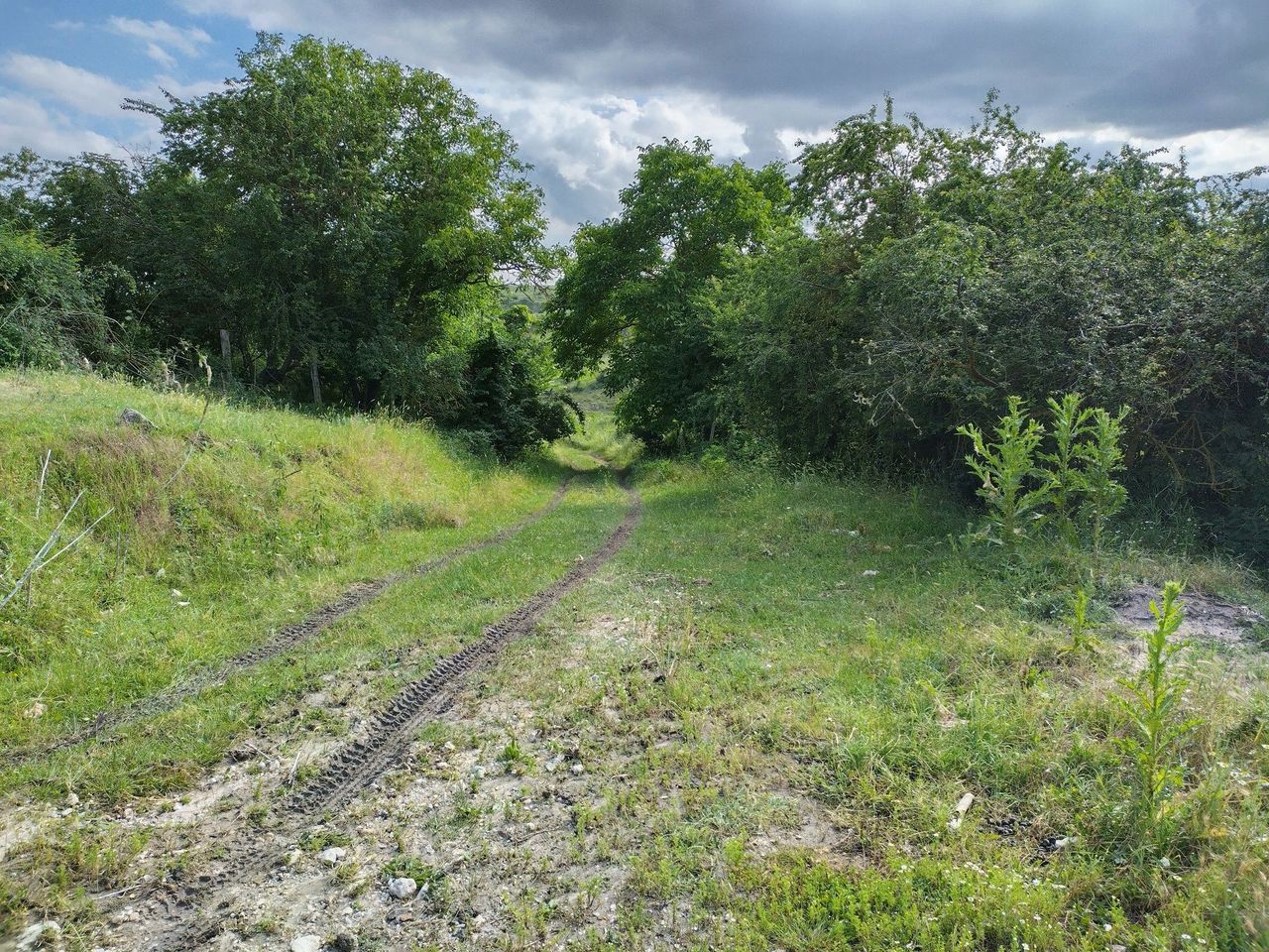 Продава се Парцел в с. Калиманци, Област Варна - 6134 кв.м за 7 €/кв.м - Снимка #2