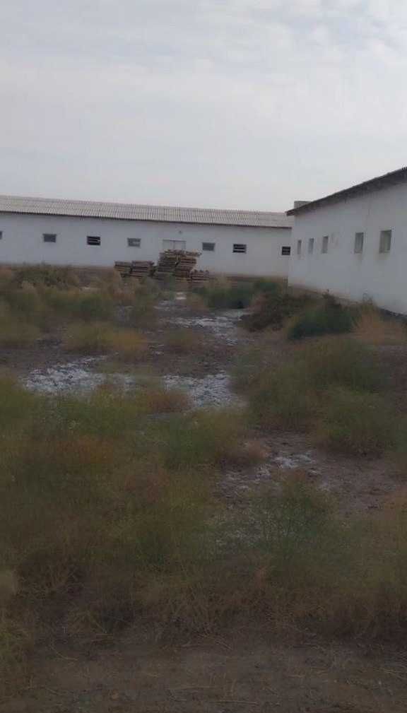 Nukus tumanida Molxona va Tovuqxona binosi sotildi
