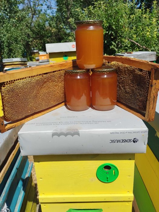 Продавам пчелен мед