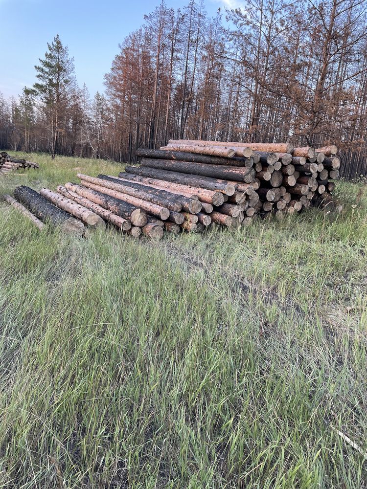 Лес. Кругляк. Подтоварник. Пиловочник. Жерди. Заезд свободный