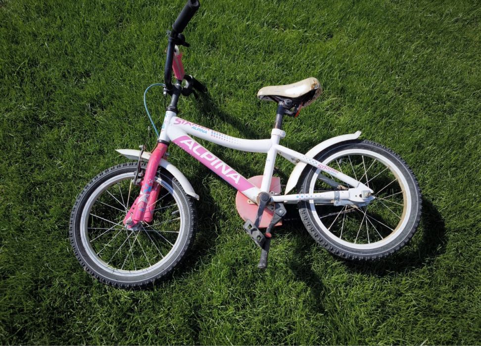 Bicicleta Alpina Starter