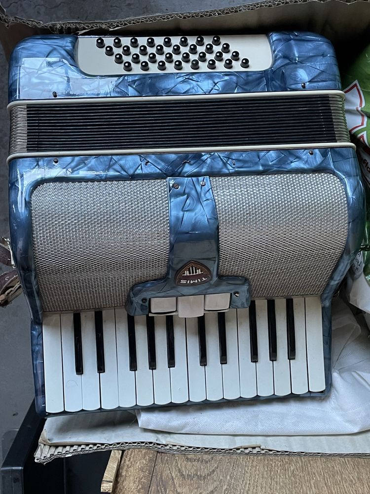 Acordeon Timis vechi