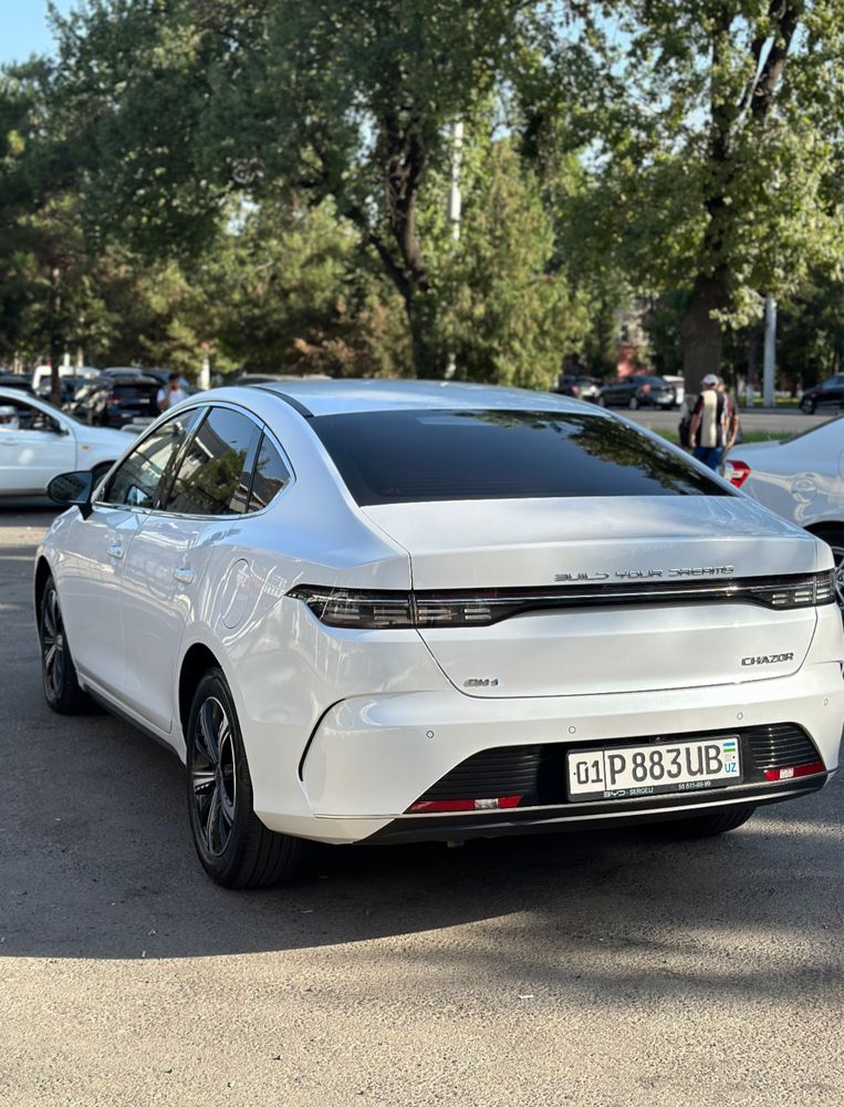 Byd chazor Hybrid Srochniy