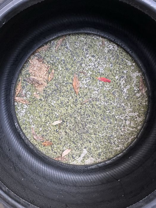 Гума 255/35/18 перфектна дот 22