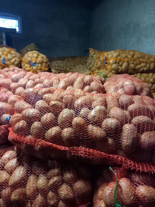 Vand cartofi consum rosu si alb