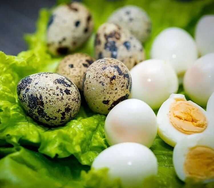 Перепелиные яйца и мясо