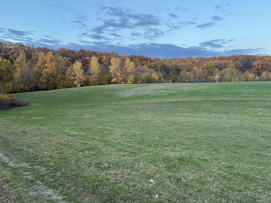 Proprietar – vând teren intravilan în Cărbunari, Maramureș