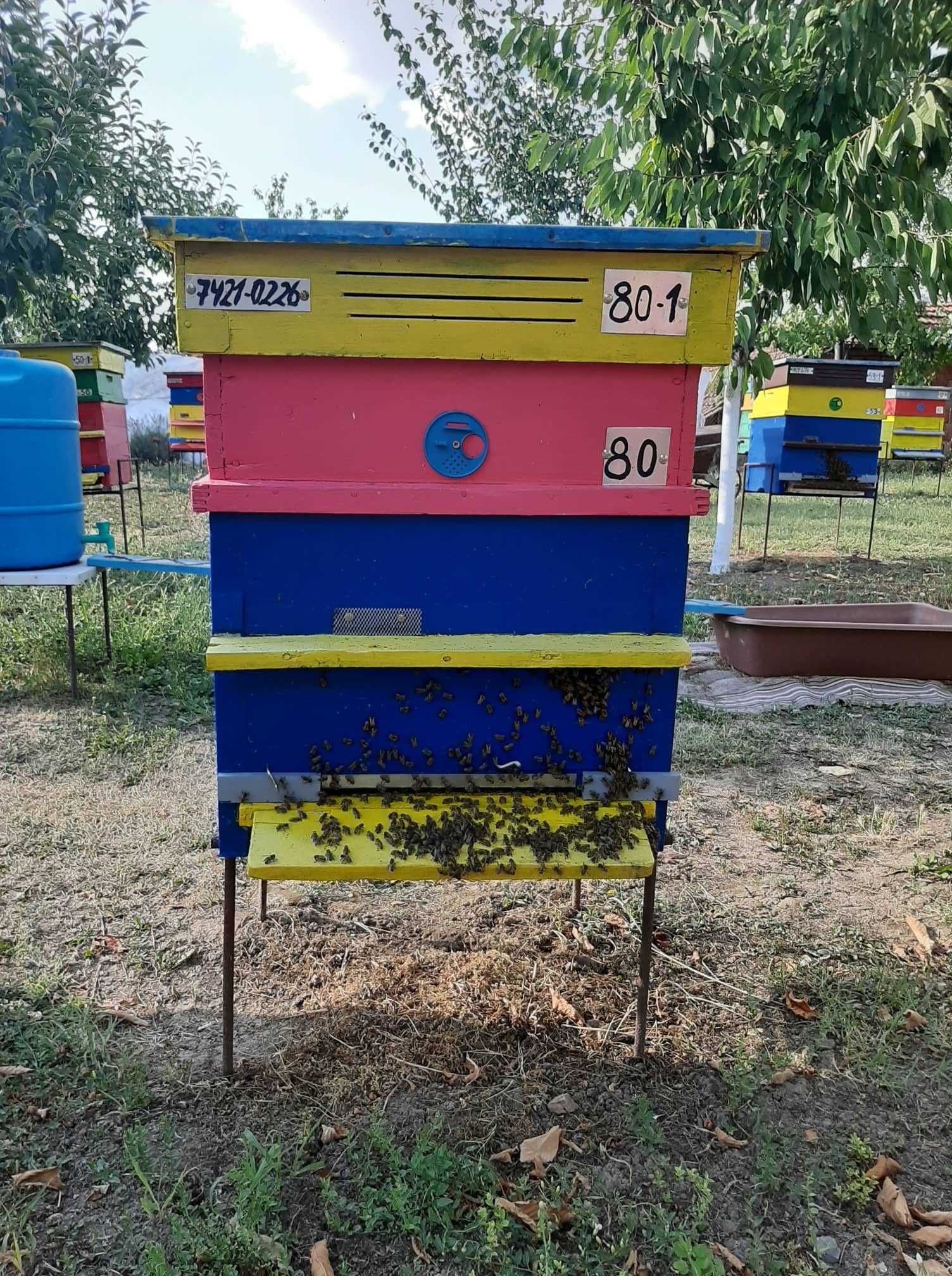 Продавам цветен/пчелен прашец,