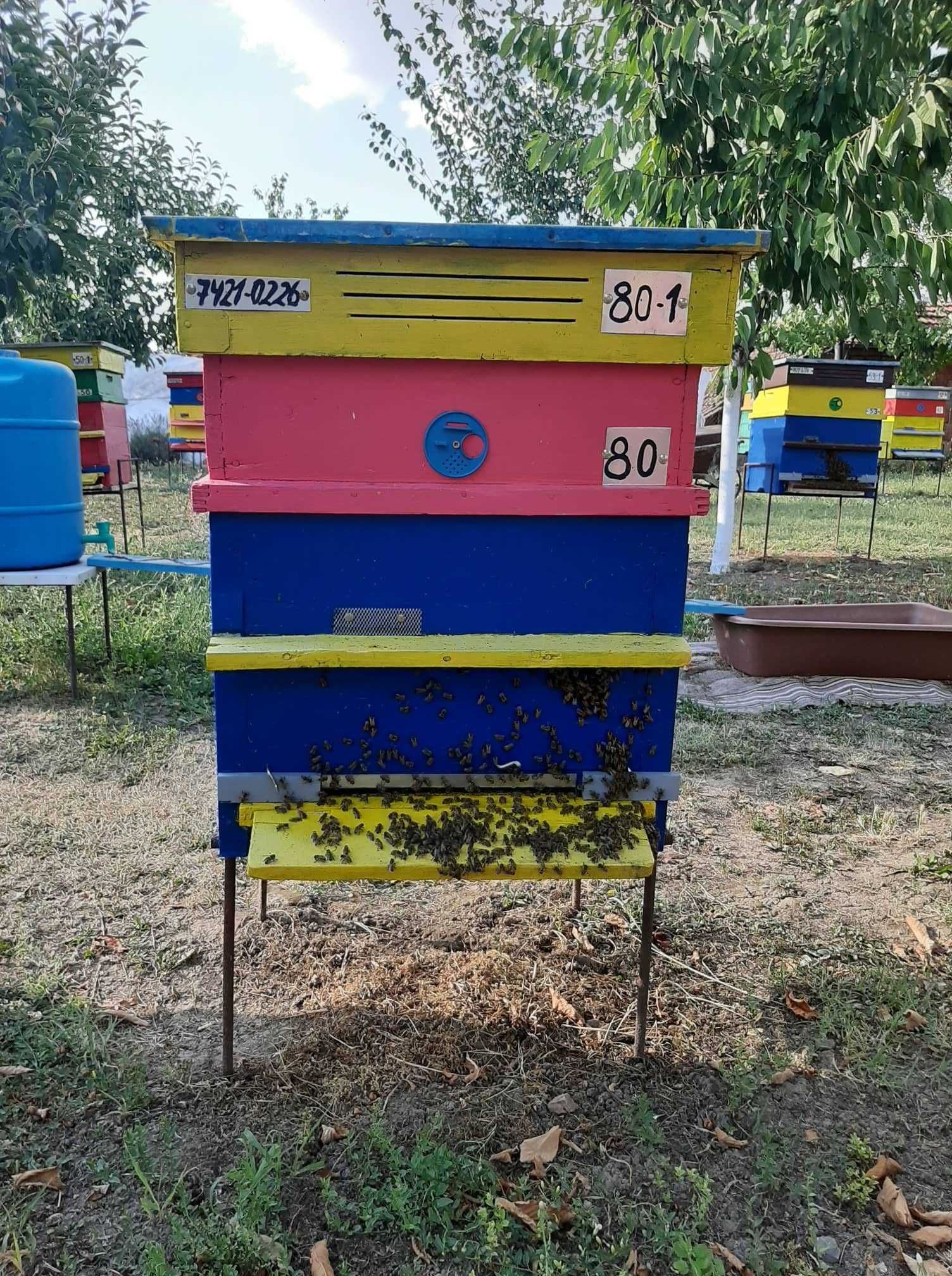 Продавам пчелен мед и прашец