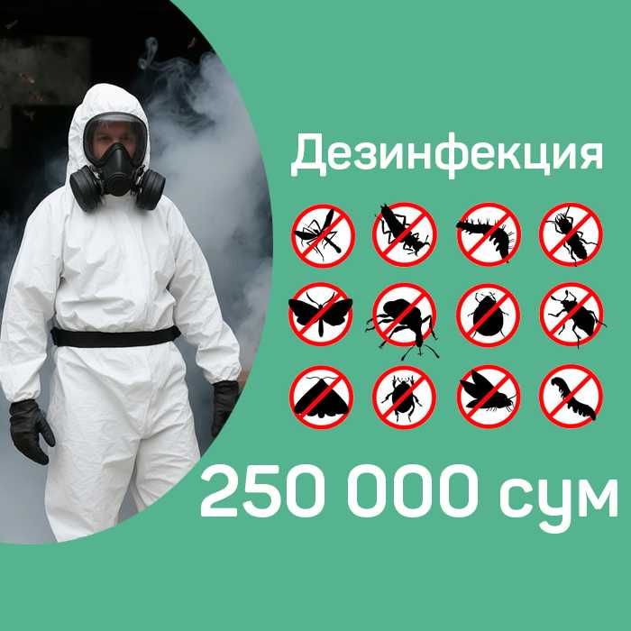 Обработка тараканов, клопов, клещей, дезинфекция
