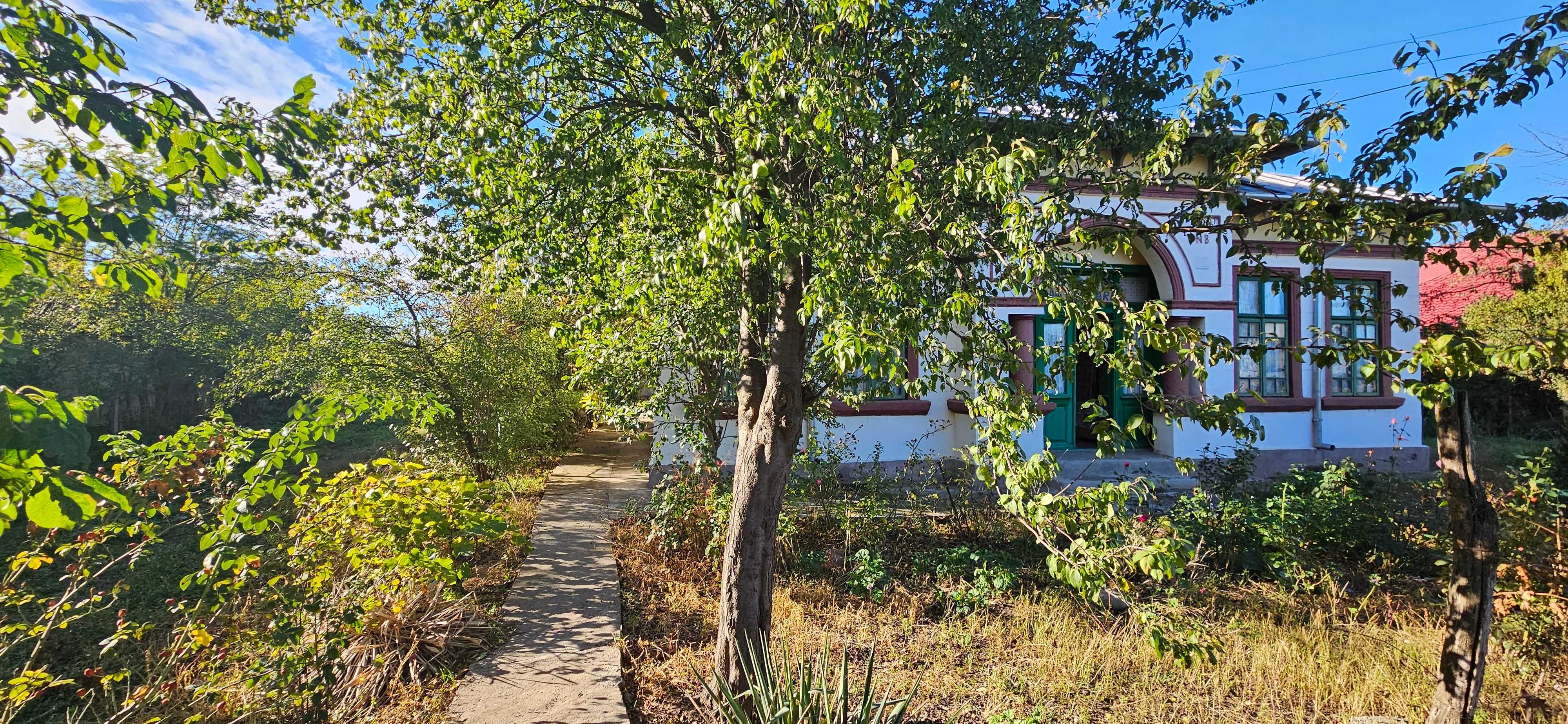 Vand casa in Amara, Ialomita, str. Stefan cel Mare