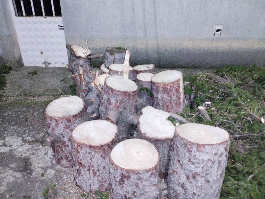 Подарявам борова дървесина за горене от 15 метров бор. Село Симеоново.