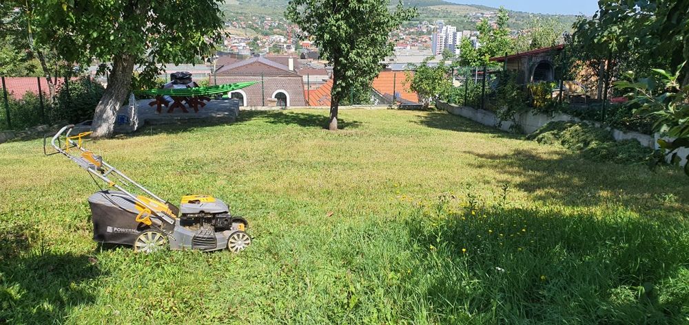 Tocare, tocat crengi, tăieri, toaletare pomi, copaci, defrişare teren