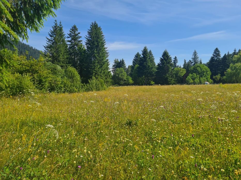 Vand teren intravilan in Ceahlău(Durău)