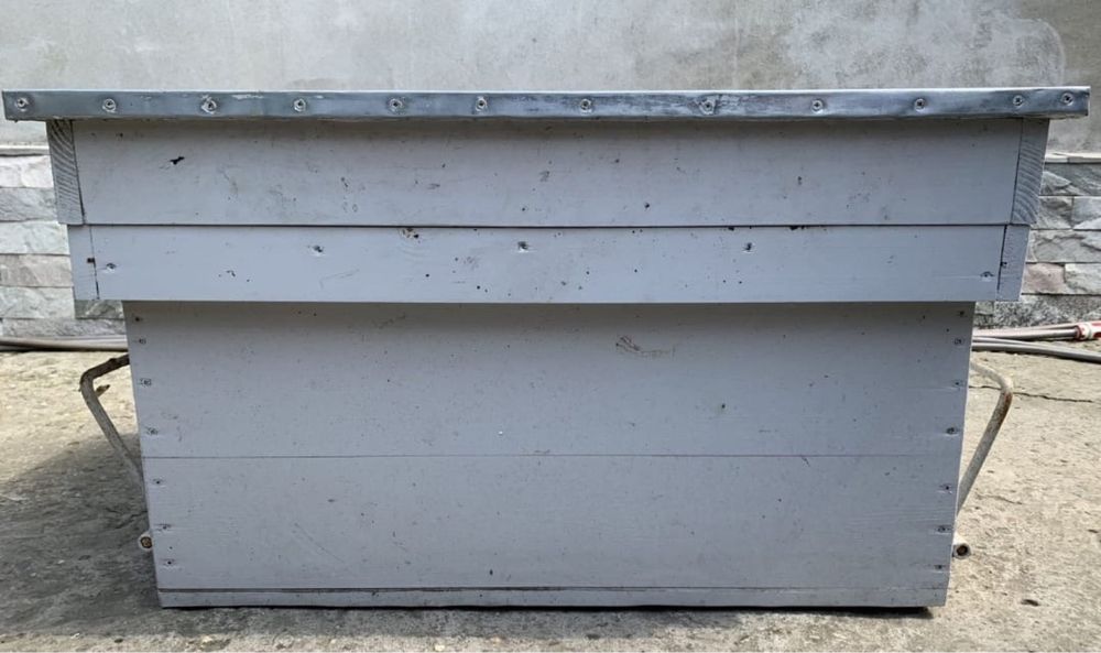 Vand stupi de albine