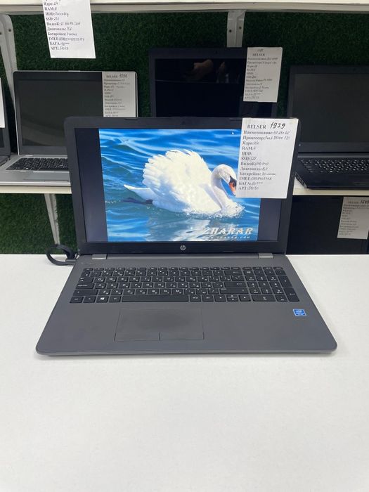 Недорогой бюджетный проверенный офисный ноутбук учеби и работы  Hp