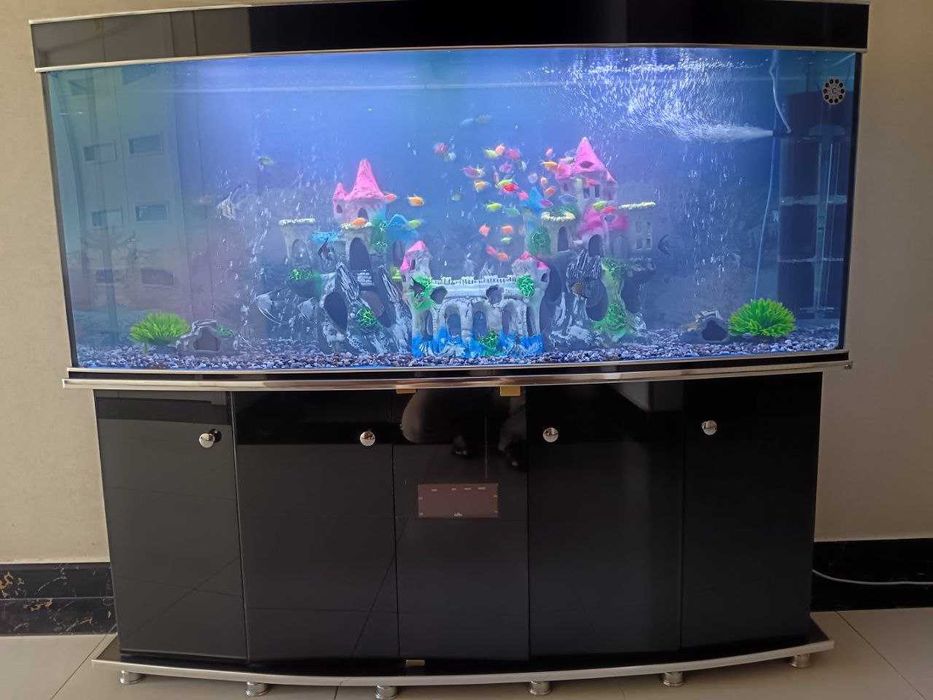 Акварюм за один день установка любой размер запуск полностью