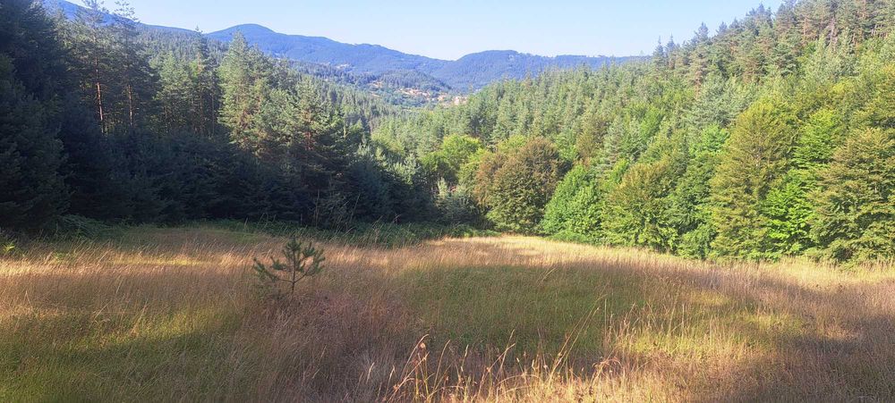 Продава се земя в Родопите