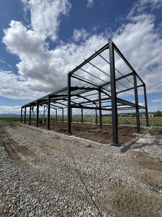 Vand structura metalica