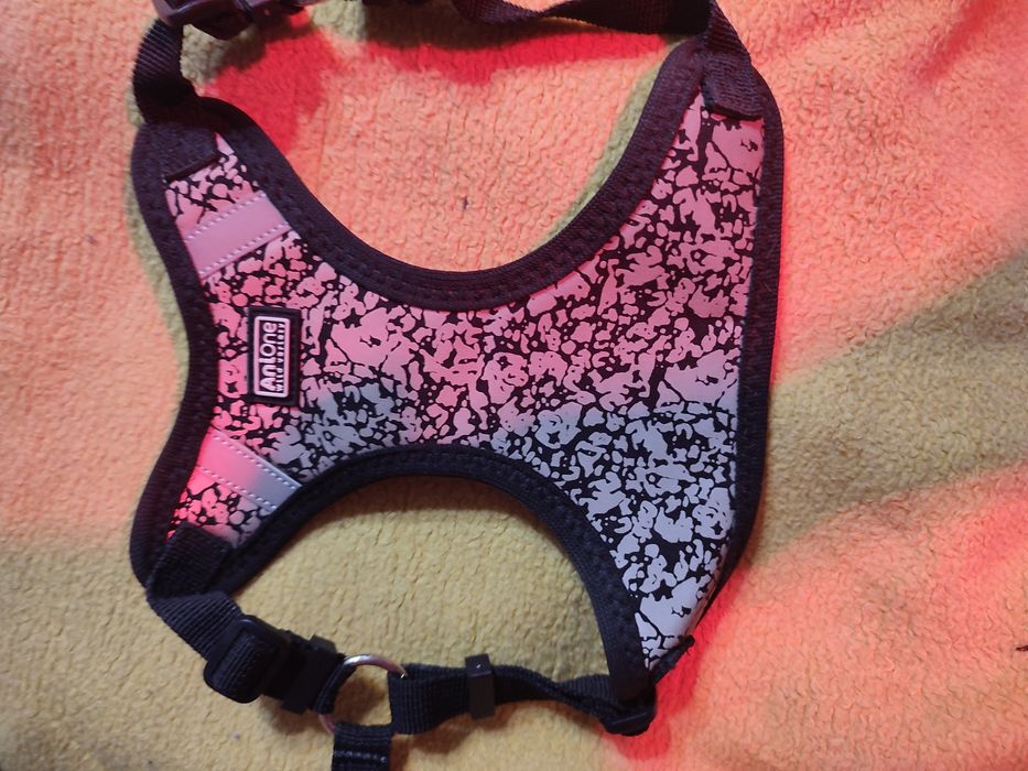 Vând ham pentru căței de talie mică