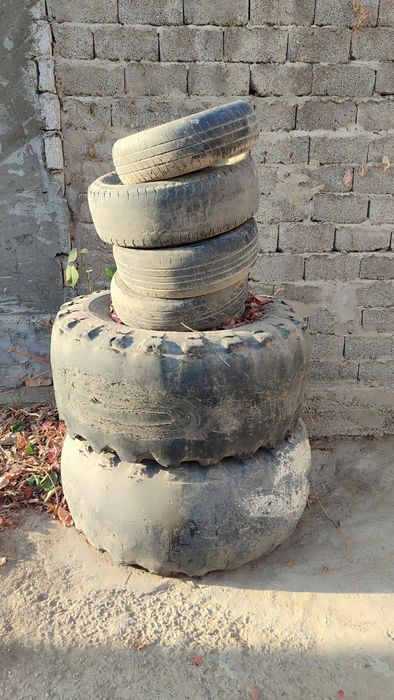 Балон текинга. Шина бесплатно