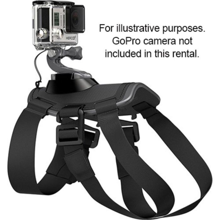 Sistem prindere spate caine pentru GoPro Hero 2, 3, 3+, 4, 5