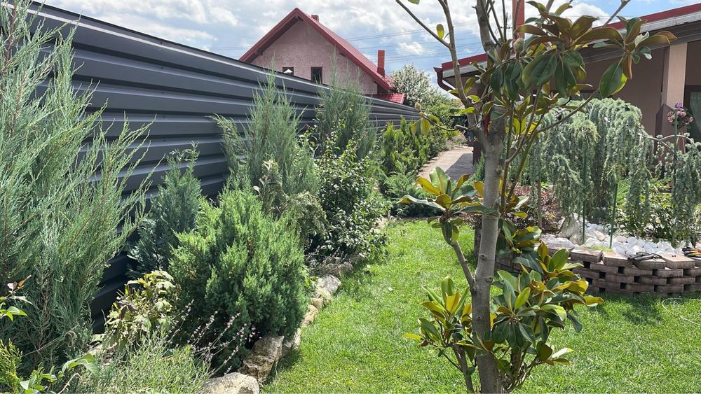 Gard tabla cutata T35 Fresco gri mat RAL7016 orizontal