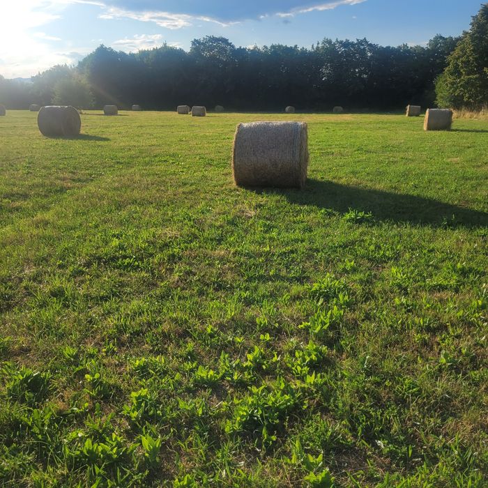 Baloti de fân rotunzi