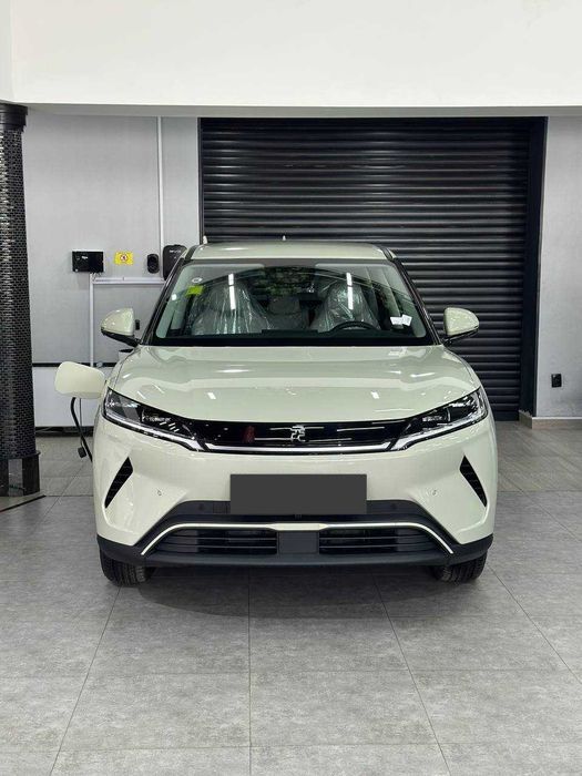 BYD YUAN UP 2025 Intelligent vitality