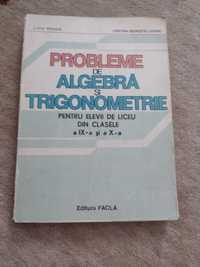 Liviu Pirsan- Probleme de algebră și trigonometrie,anul 1983