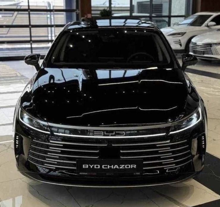 Byd chazor 2023  Arenda