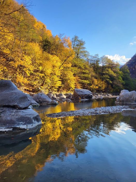 Închiriem Vila in Lepsa Vrancea Revelion ocupat