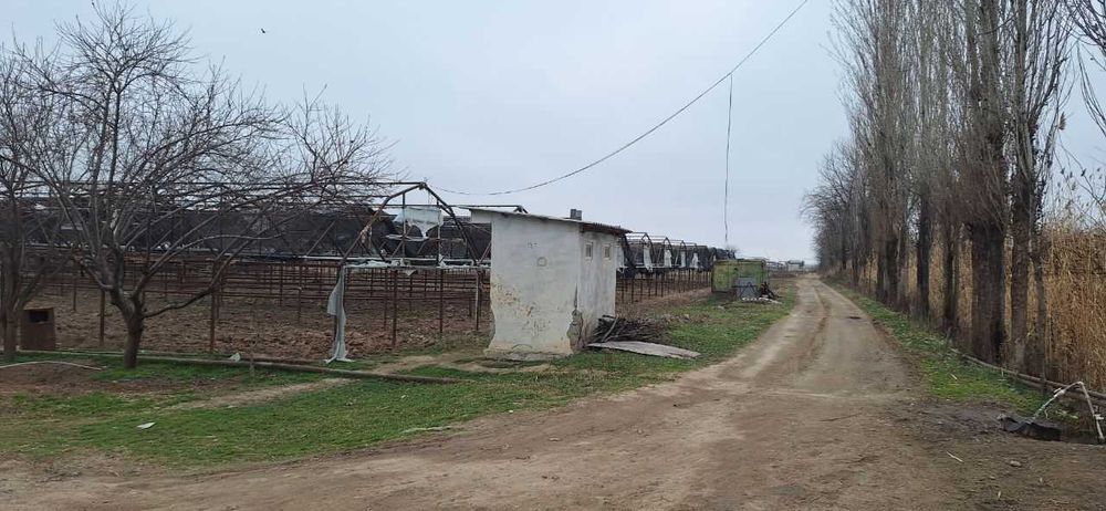 Сирдарё вилояти Сирдарё тумани Малик МФЙда иссиқхона биноси