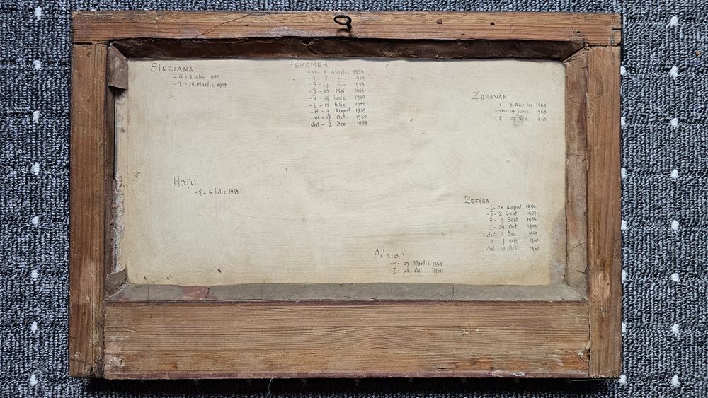 Poze vechi echitație 1959-1960