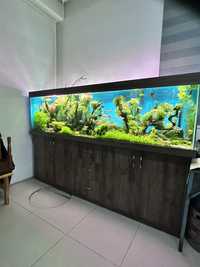 Дизайн аквариумов