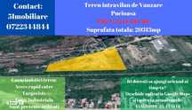Pucioasa- Teren de Vanzare- Comision 0%