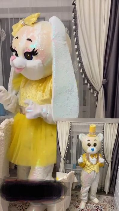 Одежда аниматора 30000т