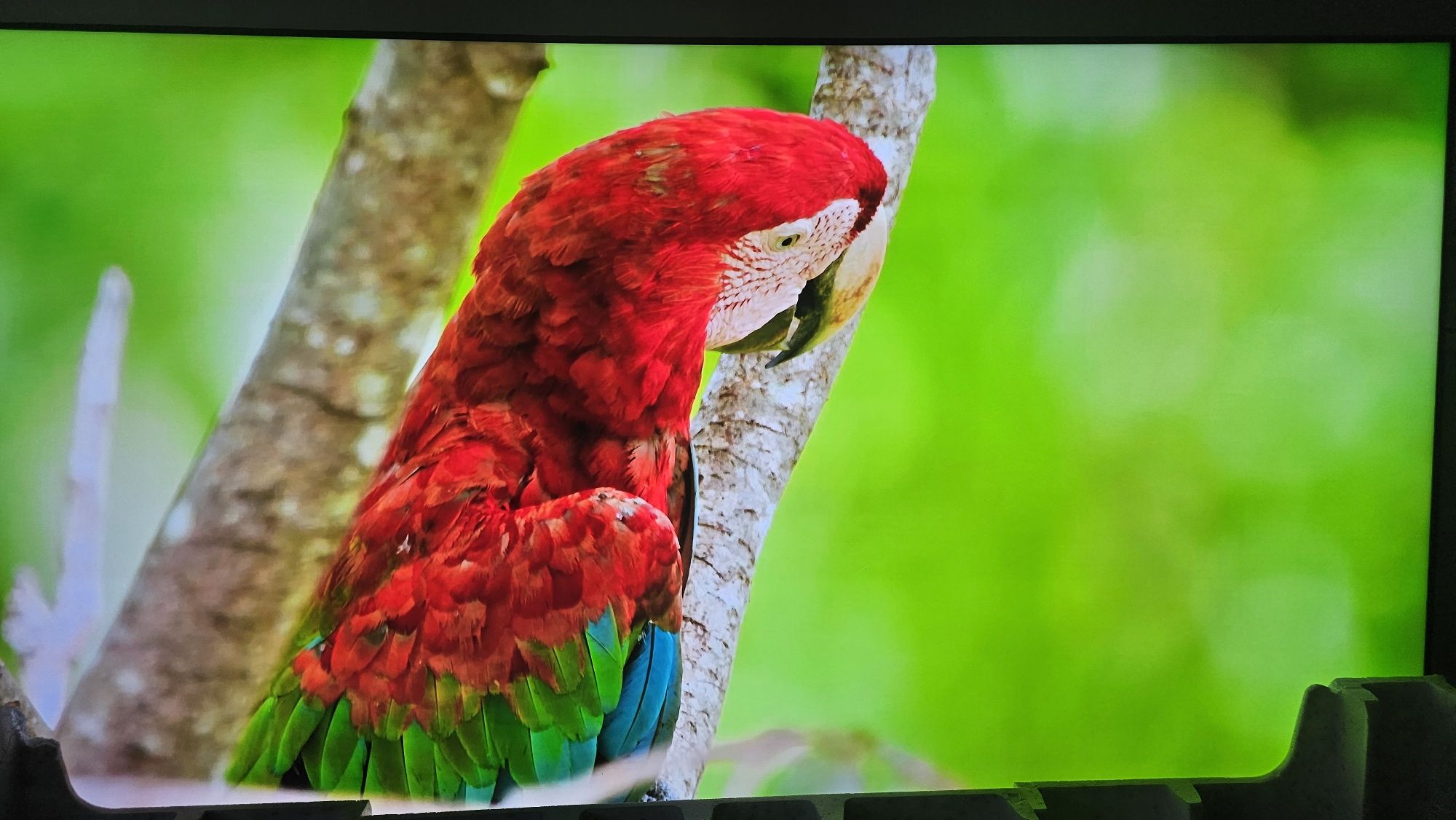 Телевизор SAMSUNG Neo QLED 85QN85D, 85" (214 см), Smart, 8K Ul